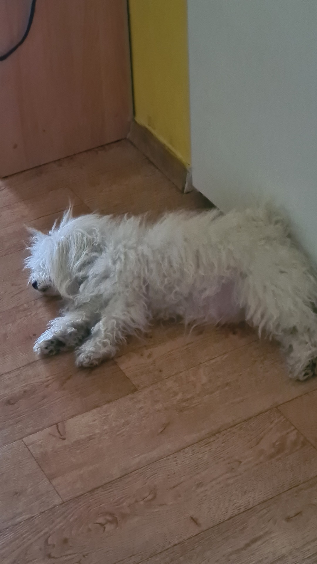 mamka odpočívá - snad vše půjde dobře a kolem 15.5.se dočkáme ❤