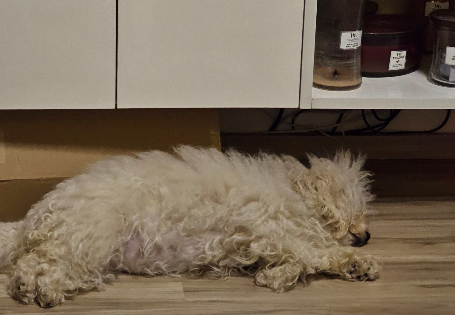 budouci mamka odpočívá